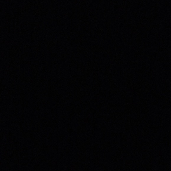 Meet your Posher, Deedee - Picture 1 of 1